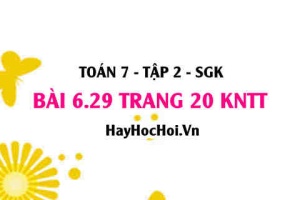 Bài 6.29 trang 20 Toán 7 Tập 2 Kết nối tri thức